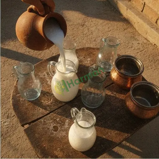 Aksaray Gülağaç'ta ayran satıyorum