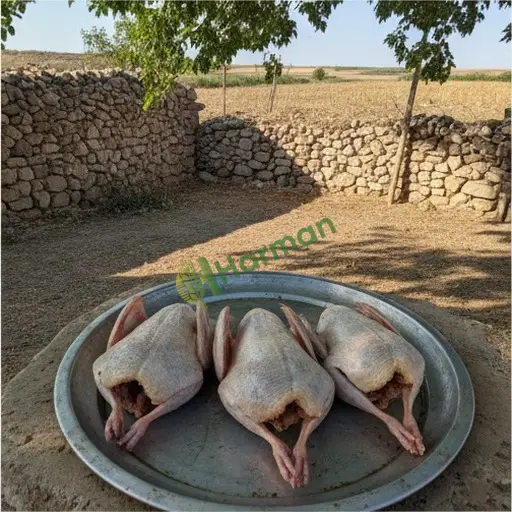 Diyarbakır Çermik'te bıldırcın eti satılık