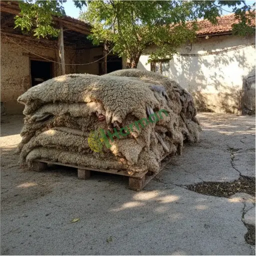 Kahramanmaraş Dulkadiroğlu'da ham koyun derisi satıyorum