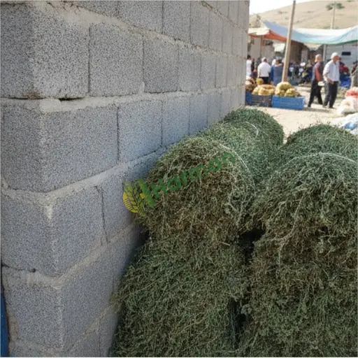 Aralık'ta fiğ satıyorum