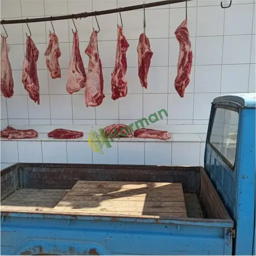 Gümüşhane Torul'da helal et satıyorum