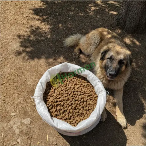 Antalya Döşemealtı'nda köpek yemi uygun fiyata satılık