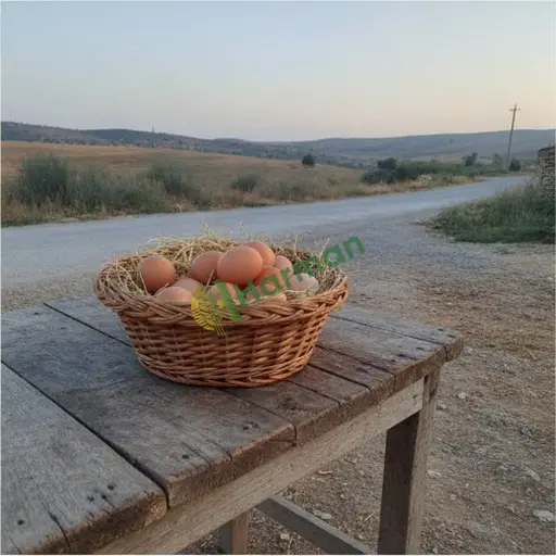 Kastamonu Daday köy yumurtası satılır