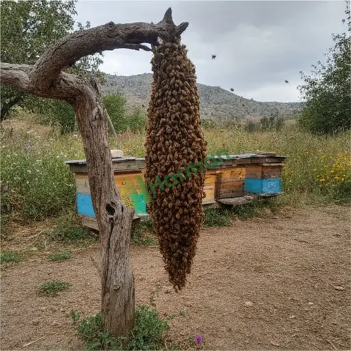 Ordu Perşembe'den Satılık Oğul