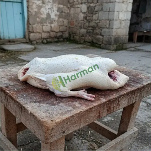 Kilis Elbeyli'de ördek eti satıyorum