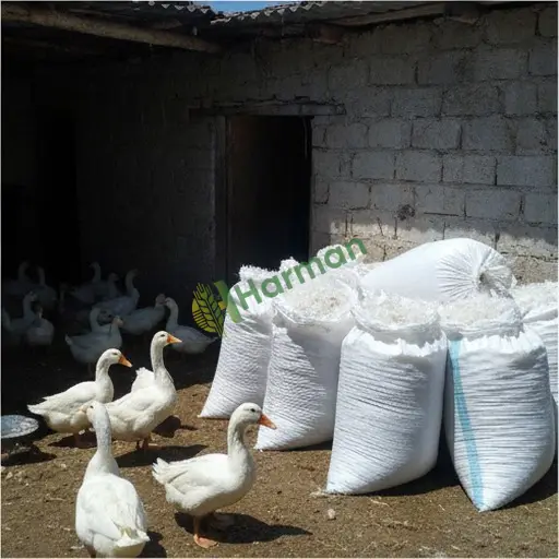 Kırıkkale Çelebi'de tüy ördek satılık