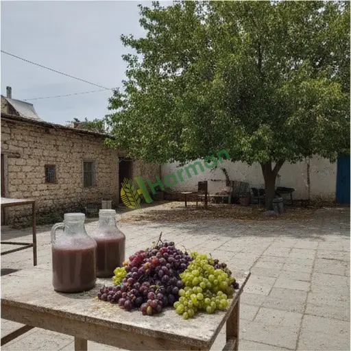 Çorum Laçin'de şıra pompası satılır