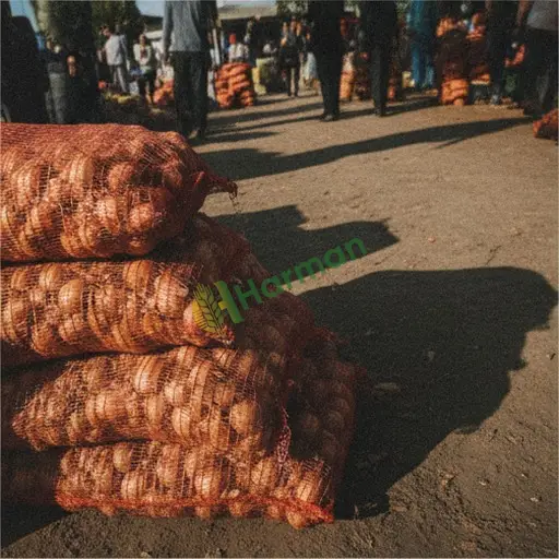 Van Özalp'te kuru soğan satıyorum