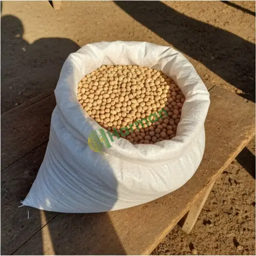 Soya Fasulyesi çeşitleri