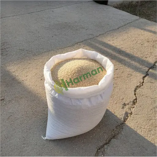Manisa Yunusemre'de susam satılık