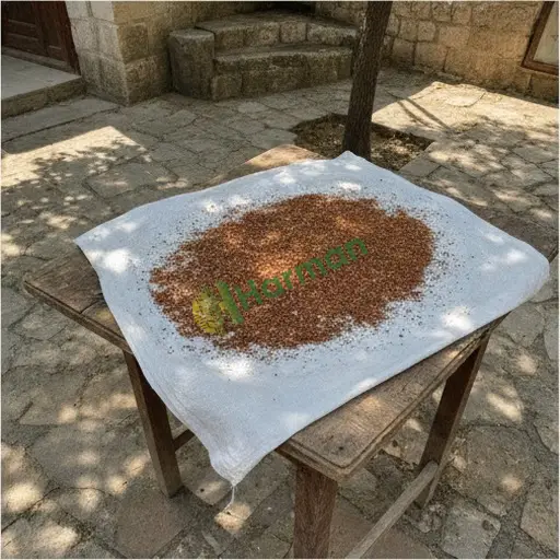 Çorum Merkez'de tarhana satılık