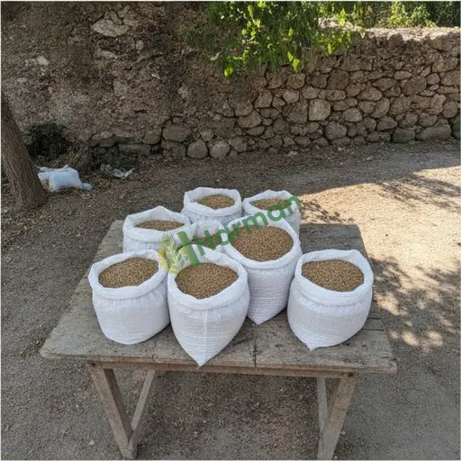 Aydın Karacasu'da tere tohumu satılır