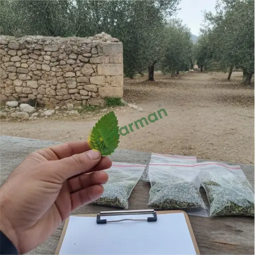Karaman Başyayla'da yaprak analiz hizmeti verilir