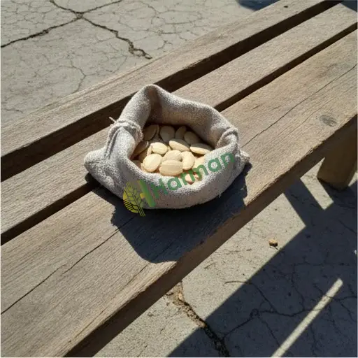 Muğla Datça'da yılan kabağı tohumu satılık