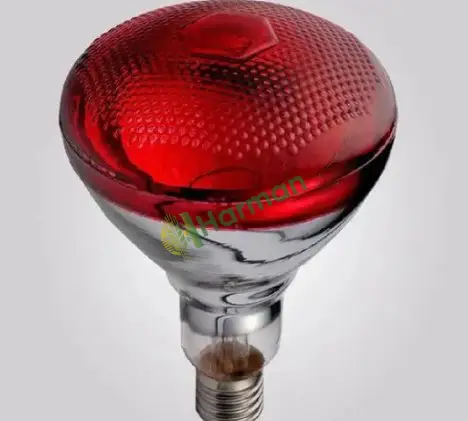250 Watt İnfrared Isıtıcı Lamba