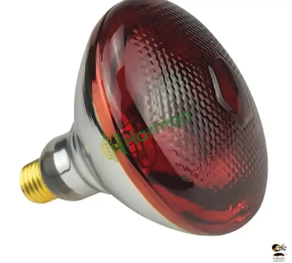 250 Watt İnfrared Isıtıcı Lamba