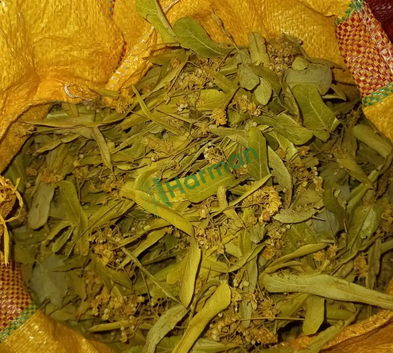35 KG Toplu satılık Yeni sezon Çiçekli Ihlamur-Doğal ve temiz