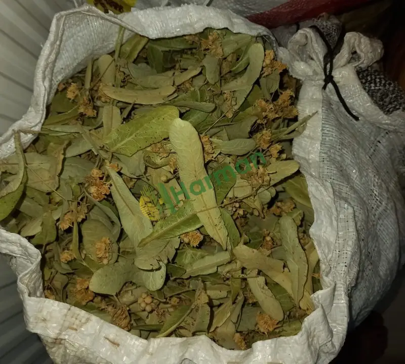 35 KG Toplu satılık Yeni sezon Çiçekli Ihlamur-Doğal ve temiz