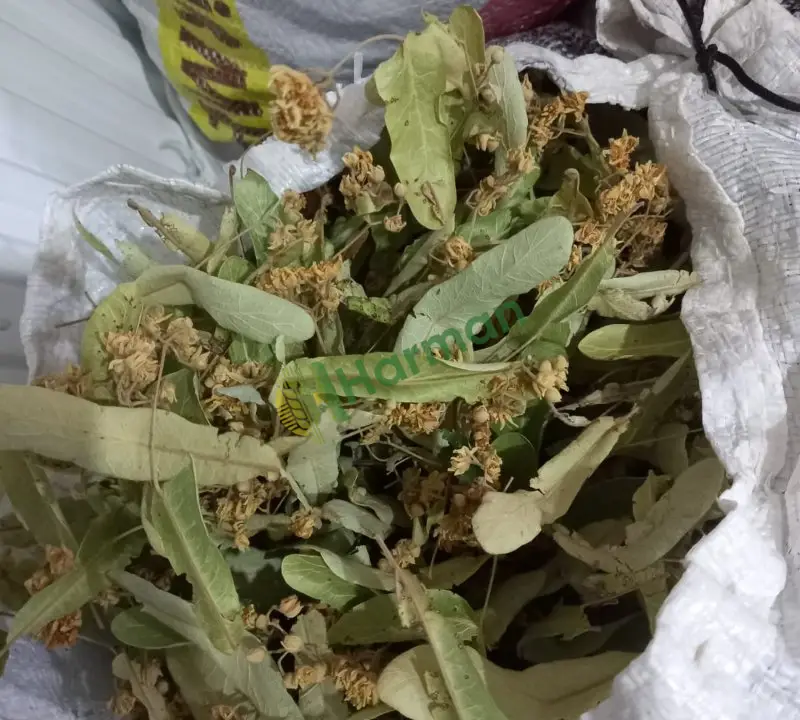 35 KG Toplu satılık Yeni sezon Çiçekli Ihlamur-Doğal ve temiz