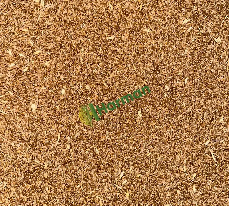 400 Ton Quality Cinsi 1.sınıf Buğday