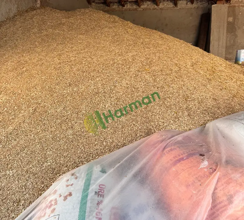 45 Ton Civarı Yulaf