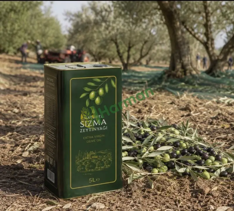 5 Ton 0,5 Dizem Zeytinyağ