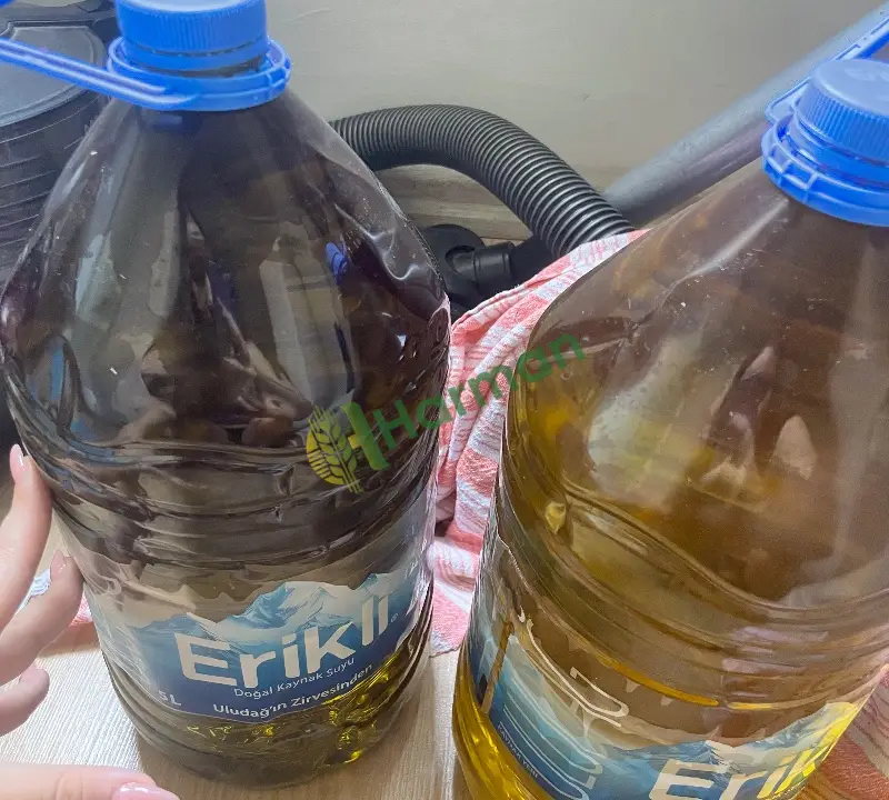 5L zeytinyağı