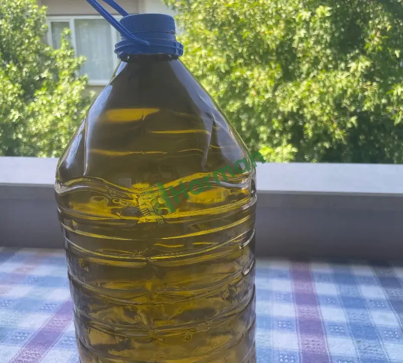 5L zeytinyağı