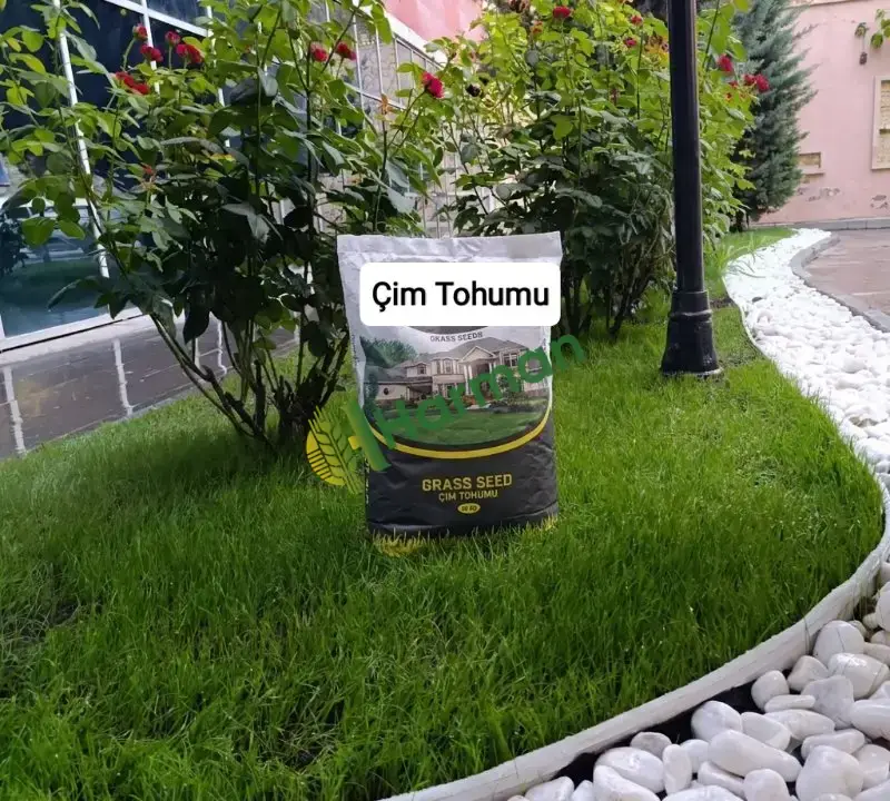 7 li İthal Çim Tohumu