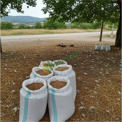 Adana Kozan kaz yemi alıyorum