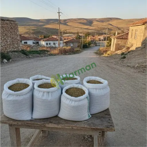 Adana Çukurova'da Satılık Tere Tohumu