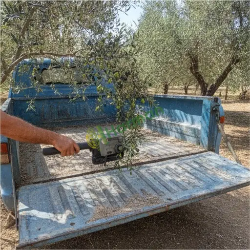 Kırşehir Boztepe'de Aranan Ağaç Silkeleme Makinesi