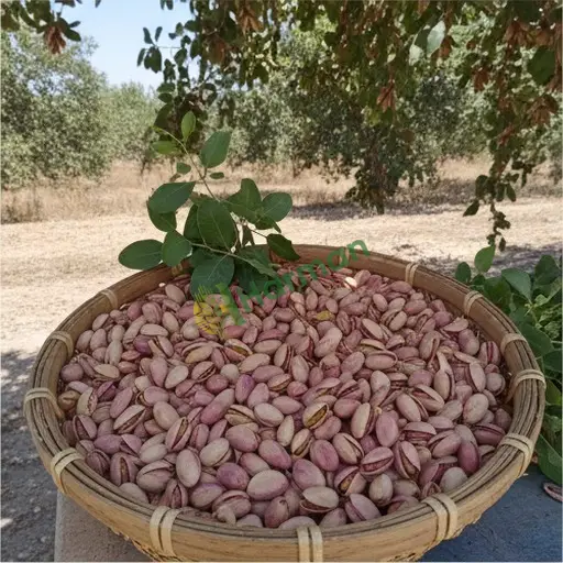 Ağrı · Aranan Antep Fıstığı - 1.2 Ton