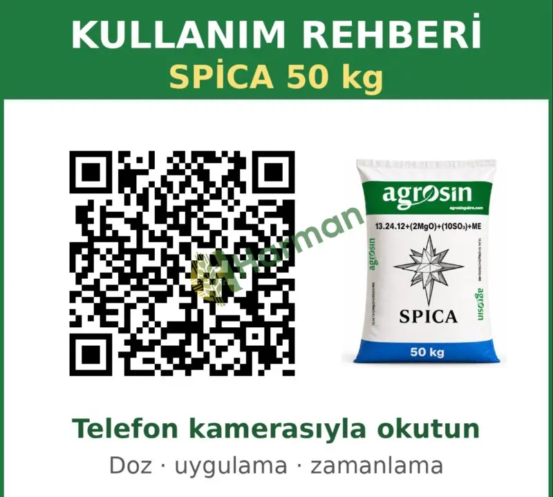 Agrosin Spica 13-24-12 + 2 MgO + 10 SO3 + ME - 50 kg