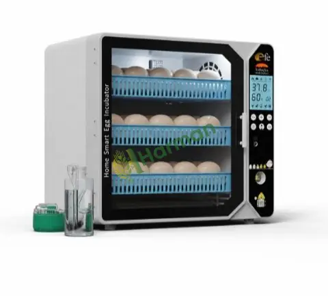 Akıllı Kuluçka Makinesi 105 Tavuk Yumurtası