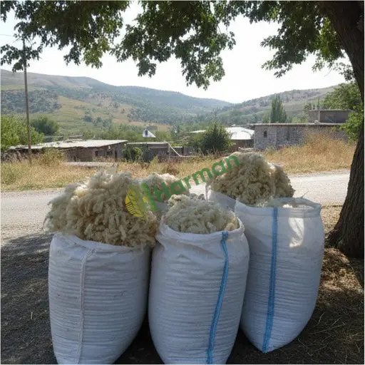 Aksaray Ağaçören'de ham yün satılık