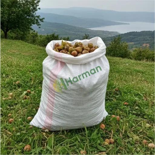 Fındık Aranan 27 Dönüm - Amasya Gümüşhacıköy