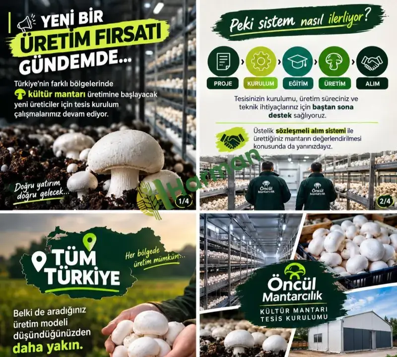 ANAHTAR TESLİM KÜLTÜR MANTARI ÜRETİM TESİSİ KURULUMU
