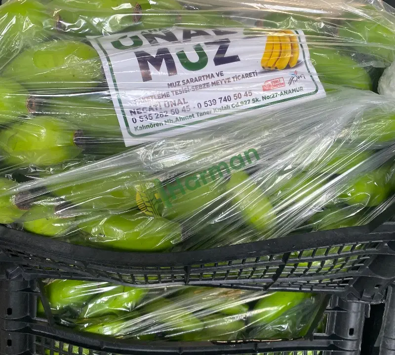 Anamur Muzu - 2