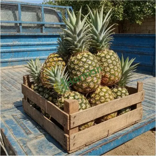 Gümüşhane Köse'de ananas alınır