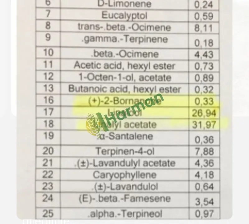 Angustifolia lavanta saf yağı