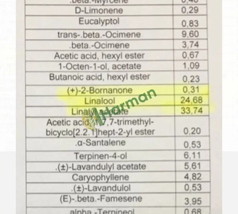 Angustifolia lavanta saf yağı