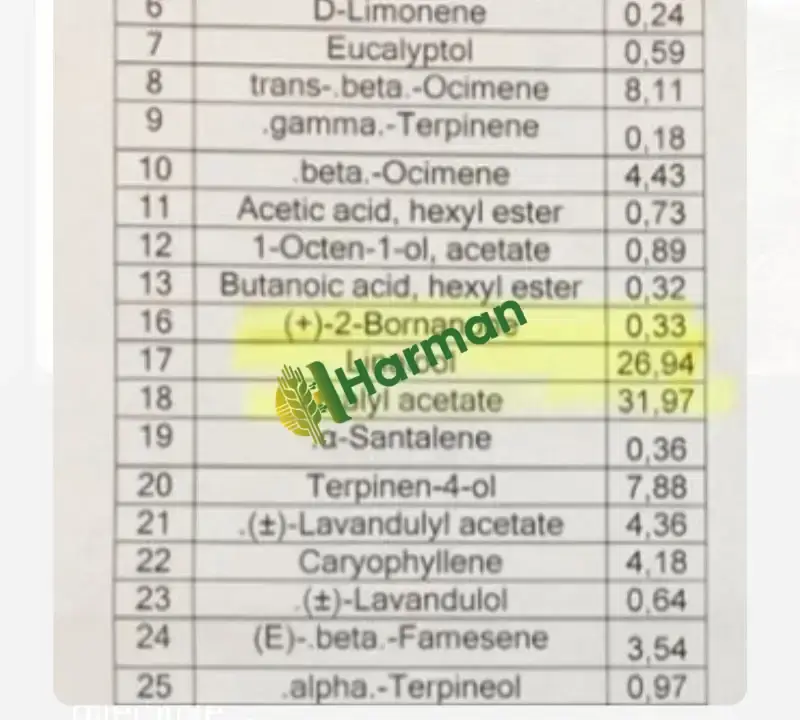 Angustifolia lavanta saf yağı