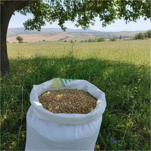 Ankara Kalecik'te çayır mera karışımı satılık