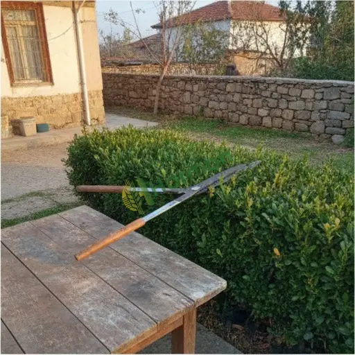 Ankara Altındağ'da çit budama makası lazım