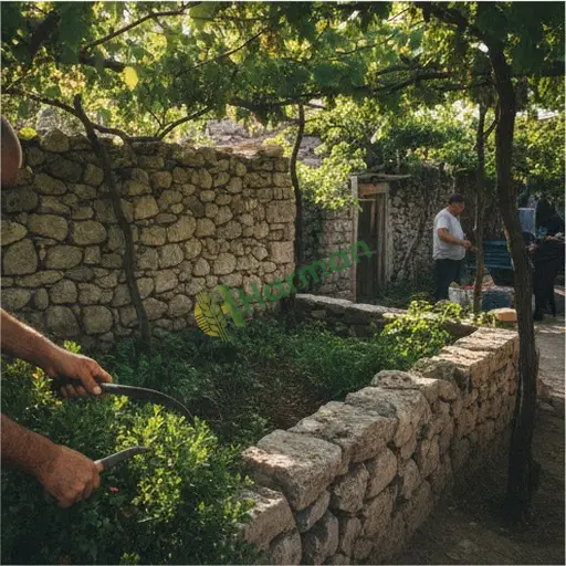 Antalya Finike bahçe bakımı işi alıyorum