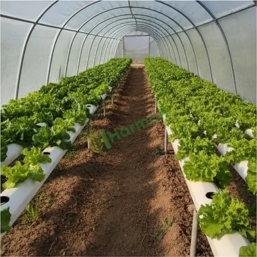 Antalya Demre'de hidroponik sistem satılık
