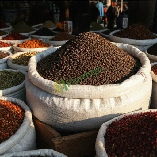 Antalya Manavgat'tan karabiber alınır