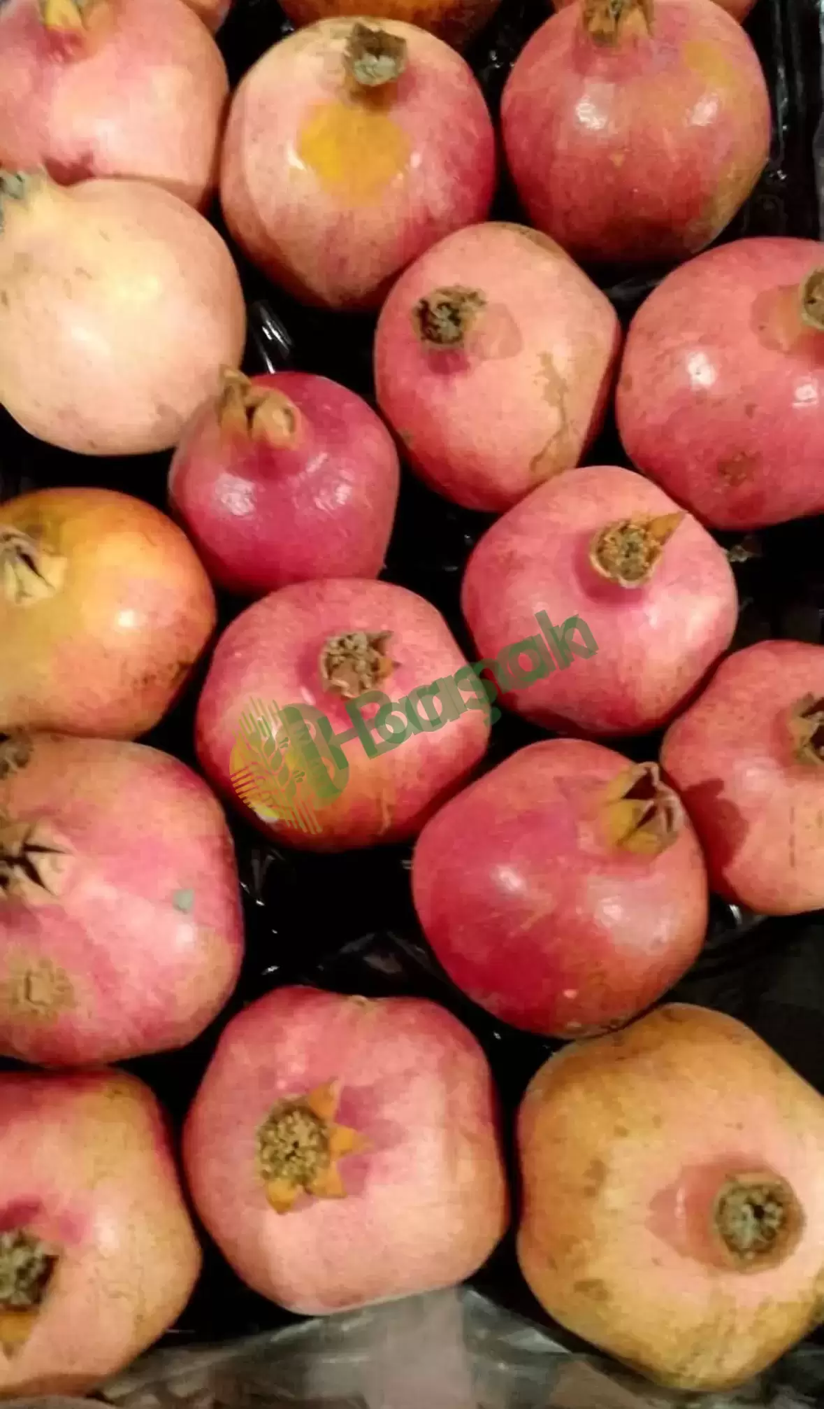 Antalya Kepez depomuzda son narlarimiz iç pazar için narlar resimde görüldüğü gibidir