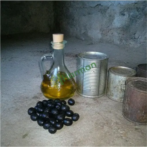 Antalya Aksu erken hasat zeytinyağı satıyorum